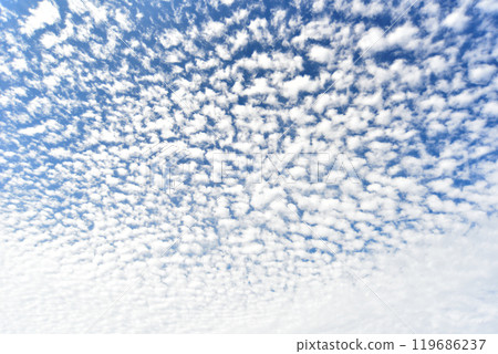 鱗片雲在秋天的天空中蔓延 鱗片雲在秋天的天空中蔓延 119686237