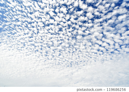 鱗片雲在秋天的天空中蔓延 119686256
