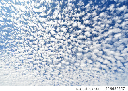 鱗片雲在秋天的天空中蔓延 119686257