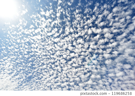 鱗片雲在秋天的天空中蔓延 119686258