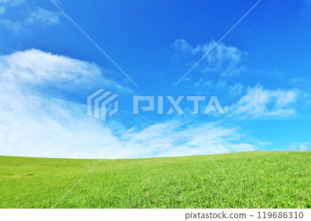 Autumn blue sky and beautiful grassland scenery 119686310