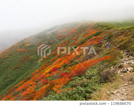 Gassan Ubagatake course with fog and autumn leaves Gassan Ubagatake course with fog and autumn leaves 119686670