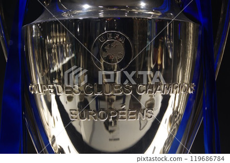 Champions League Winners Trophy 119686784
