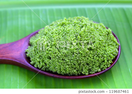 Wolffia globosa or swamp algae, water meal Wolffia globosa or swamp algae, water meal 119687461