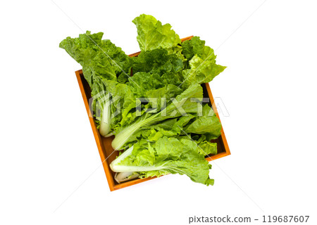Small Chinese cabbage, Tokyo bekana cabbage in wooden box on white background. Small Chinese cabbage, Tokyo bekana cabbage in wooden box on white background. 119687607