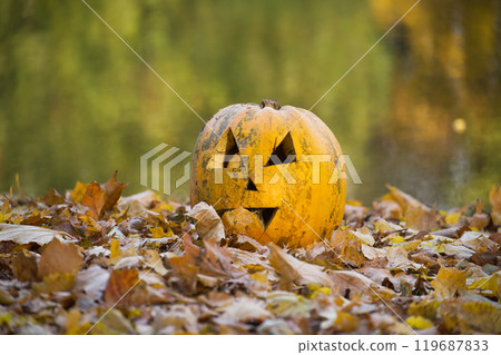 Carved jack-o'-lanterns near a tranquil pond in autumn, surrounded by fallen leaves Carved jack-o'-lanterns near a tranquil pond in autumn, surrounded by fallen leaves 119687833