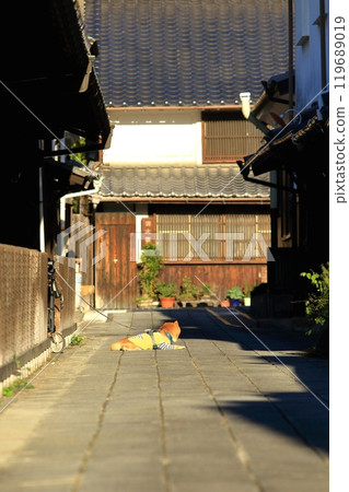 安靜的街景保存地區的日常場景(竹原市) 安靜的街景保存地區的日常場景(竹原市) 119689019