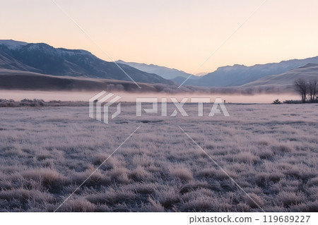 Expansive view of a frosty field illuminated by the rising sun with mist. Nature scenery concept Expansive view of a frosty field illuminated by the rising sun with mist. Nature scenery concept 119689227