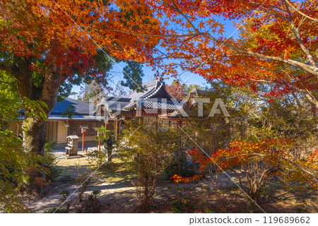 Manshuin Bentendo Hall surrounded by autumn leaves Manshuin Bentendo Hall surrounded by autumn leaves 119689662