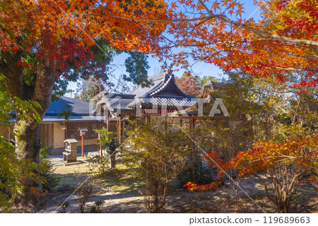 Manshuin Bentendo Hall surrounded by autumn leaves 119689663