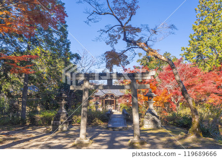 滿洲院弁天堂被秋葉覆蓋 滿洲院弁天堂被秋葉覆蓋 119689666