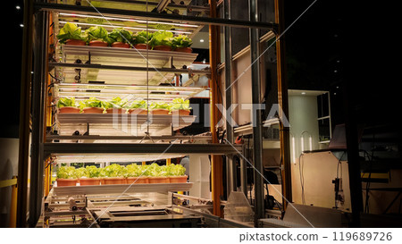 Indoor farm Hydroponic plants growing under LED lights and electric fan to reduce CO2 emission. Indoor vertical farm or vegetable farming that use new technology of seeding plants on vertical stack. Indoor farm Hydroponic plants growing under LED lights and electric fan to reduce CO2 emission. Indoor vertical farm or vegetable farming that use new technology of seeding plants on vertical stack. 119689726