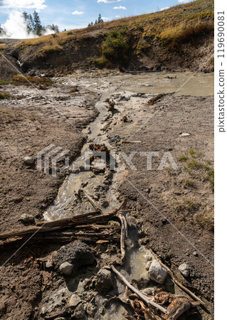 A view of hot springs in the Mud Volcano area of Yellowstone National Park. A view of hot springs in the Mud Volcano area of Yellowstone National Park. 119690081