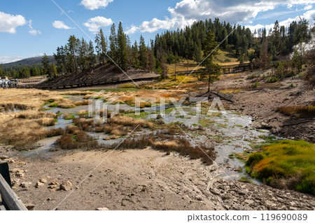 A view of hot springs in the Mud Volcano area of Yellowstone National Park. 119690089