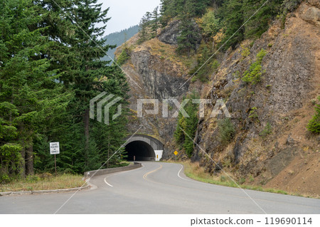 A winding road surrounded by trees in the Pacific Northwest on a foggy day. 119690114