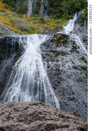 Autumn leaves at Kurosawa Falls 119690125