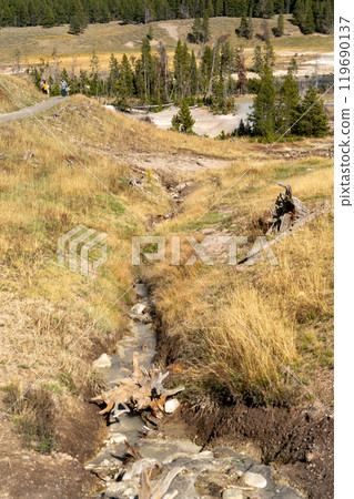 A view of hot springs in the Mud Volcano area of Yellowstone National Park. 119690137