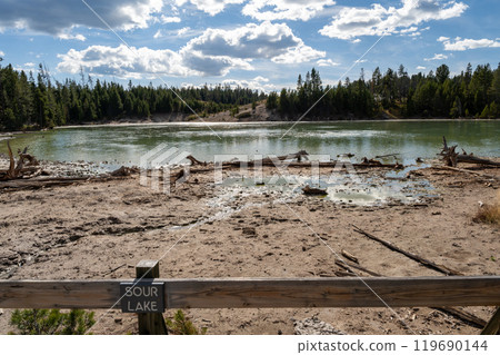 A view of hot springs in the Mud Volcano area of Yellowstone National Park. A view of hot springs in the Mud Volcano area of Yellowstone National Park. 119690144