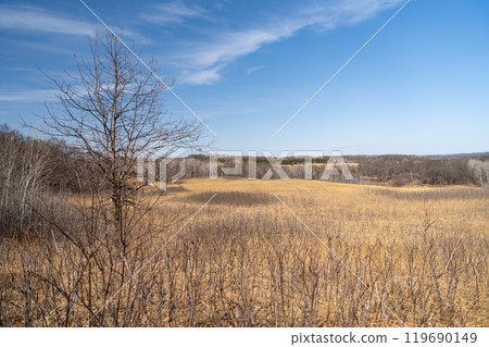 Views of dried prairie and trees during a sunny spring day at a MN state park. 119690149