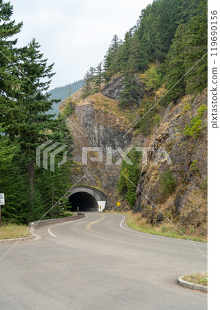 A winding road surrounded by trees in the Pacific Northwest on a foggy day. 119690156