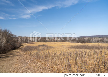 Views of dried prairie and trees during a sunny spring day at a MN state park. 119690167