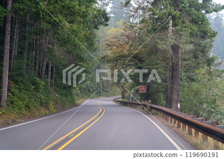 A winding road surrounded by trees in the Pacific Northwest on a foggy day. A winding road surrounded by trees in the Pacific Northwest on a foggy day. 119690191
