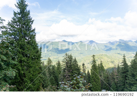 A moody and scenic view of Washington state mountains with a lot of greenery. A moody and scenic view of Washington state mountains with a lot of greenery. 119690192