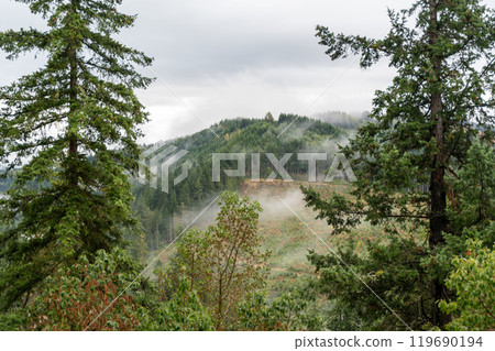 A moody and scenic view of Washington state mountains with a lot of greenery. 119690194