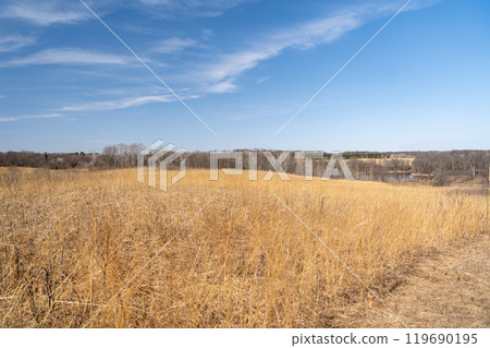 Views of dried prairie and trees during a sunny spring day at a MN state park. 119690195