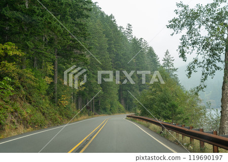 A winding road surrounded by trees in the Pacific Northwest on a foggy day. 119690197