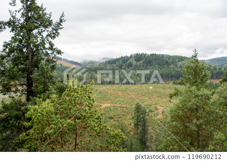 A moody and scenic view of Washington state mountains with a lot of greenery. 119690212