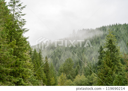 A moody and scenic view of Washington state mountains with a lot of greenery. 119690214