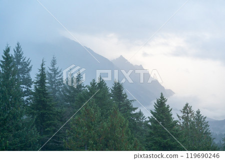 A moody and scenic view of Washington state mountains with a lot of greenery. 119690246