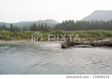 A moody and scenic view of Washington state mountains with a lot of greenery. A moody and scenic view of Washington state mountains with a lot of greenery. 119690259