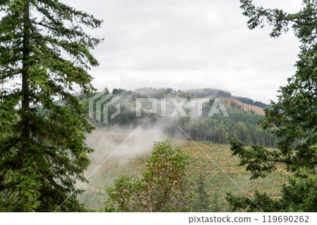 A moody and scenic view of Washington state mountains with a lot of greenery. 119690262