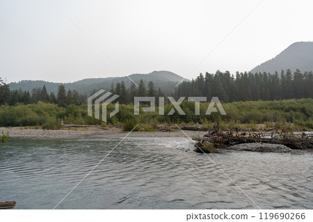 A moody and scenic view of Washington state mountains with a lot of greenery. A moody and scenic view of Washington state mountains with a lot of greenery. 119690266