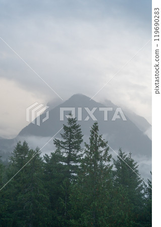 A moody and scenic view of Washington state mountains with a lot of greenery. A moody and scenic view of Washington state mountains with a lot of greenery. 119690283