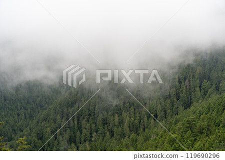 A moody and scenic view of Washington state mountains with a lot of greenery. 119690296