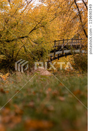 An old wooden bridge. Autumn Park. Yellow leaves on trees 119690349