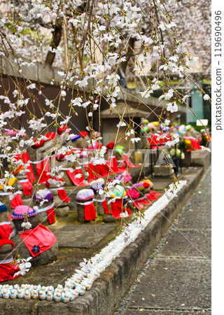 京都紫雲山長法寺六角堂地藏像、垂枝櫻花、鴿子福(京都市中京區) 京都紫雲山長法寺六角堂地藏像、垂枝櫻花、鴿子福(京都市中京區) 119690496