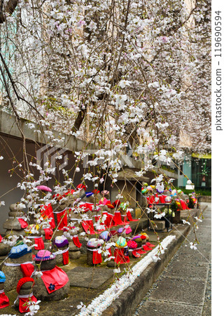 京都紫雲山長法寺六角堂地藏像、垂枝櫻花、鴿子福（京都市中京區） 119690594
