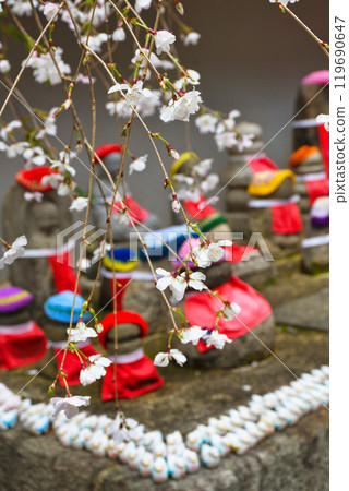 京都紫雲山長法寺六角堂地藏像、垂枝櫻花、鴿子福（京都市中京區） 119690647