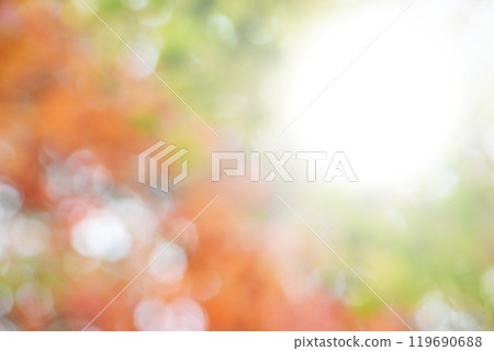 Autumn Leaves Balls Bokeh Autumn Leaves Balls Bokeh 119690688