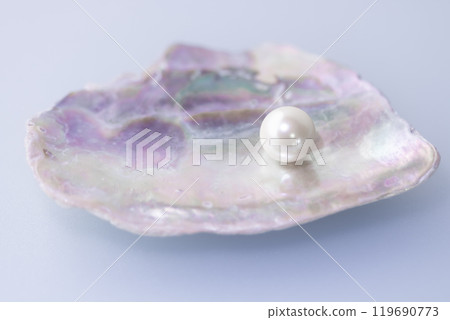 Shell shell and shell pearl Shell shell and shell pearl 119690773