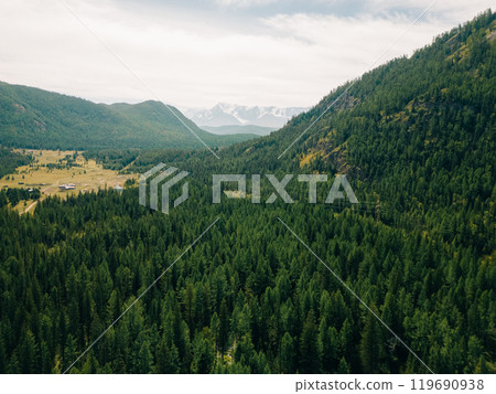 Green meadow in the mountains. Altai, Siberia, Russia 119690938