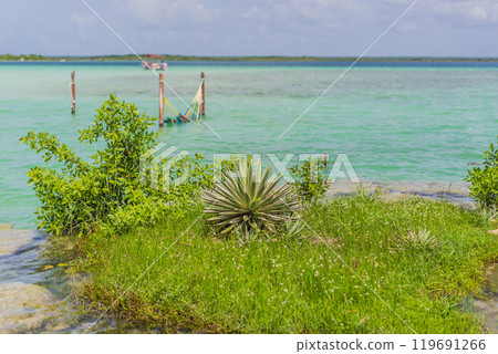 Turquoise waters of Bacalar Lake, Mexico. Peaceful and scenic tropical destination. Travel, relaxation, and nature concept Turquoise waters of Bacalar Lake, Mexico. Peaceful and scenic tropical destination. Travel, relaxation, and nature concept 119691266