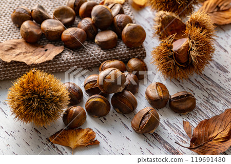 chestnut, chestnuts, japanese chestnut 119691480