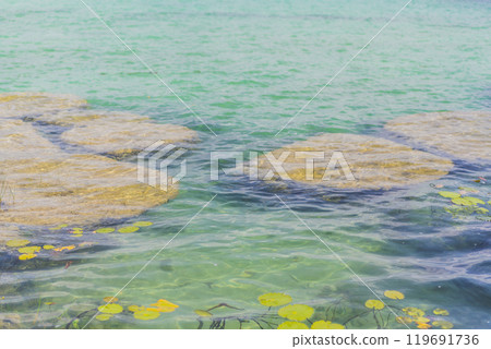 Stromatolites in the crystal-clear waters of Bacalar Lake, Mexico. Ancient natural formations in a stunning tropical setting. Nature, geology, and travel concept 119691736