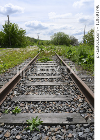 An old abandoned railway with rusty rails and wooden sleepers overgrown with dandelions in summer An old abandoned railway with rusty rails and wooden sleepers overgrown with dandelions in summer 119691746