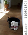 Flooring floor cleaning 119691804